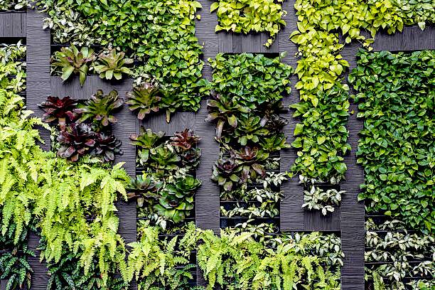 Selecting Plants For Vertical Gardens