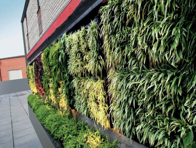 Discover the Perfect Plants for Your Vertical Garden: A Comprehensive Guide